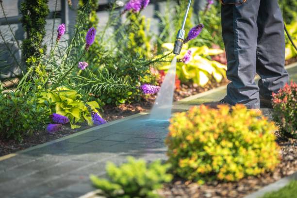 Best Fence Cleaning  in Blackwells Mills, NJ